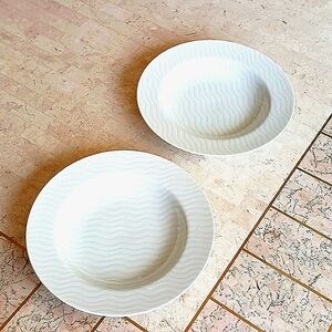 MIKASA fine China, 8.5" soup bowls,pattern is seascape L5401,,,2 bowls